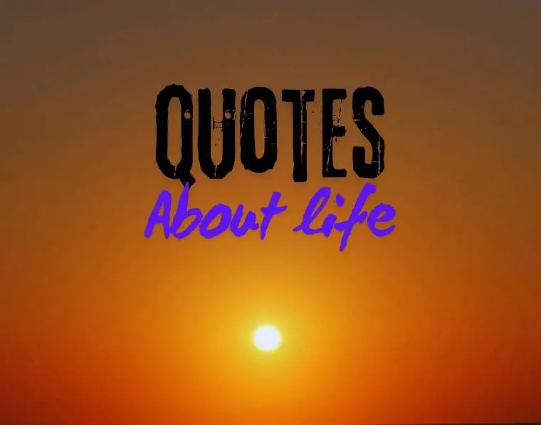 quotes harian